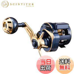 �y���������z�_�C��(DAIWA) 21 �\���e�B�KIC 100