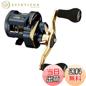 �y���������z�_�C��(DAIWA) 21 �\���e�B�KIC 100PL-DH