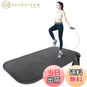 �y���������zPROIRON �꒵�� �Ȃ�Ƃ� �꒵�у}�b�g �g���[�j���O�p ��l �_�C�G�b�g �꒵�уp�b�h �r���ĕ����p�b�h ���؃��[���[�}�b�g�i8mm�_�[�N�O���[�j