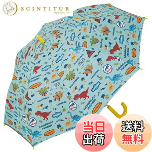 �y���������z�X�P�[�^�[(Skater) �q���p ���P 55cm �f�B�m�U�E���X 9~10�ˌ��� ��125~135cm ���w�� �����^�b�`�W�����v�� UV�J�b�g 8�{�� ���� �j�̎q ���J���p�P UBSR3-A