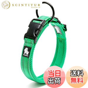 �y���������zcocomall���{�����X ����� ���̎�� �P���p ���^�A���^�A��^���p �y�b�g�p�i 3M���ˍޗ� �i�C������ �ʋC�� �e�͐� �\�t�g���b�V�� �ȒP���� ������� ���߉\ (S, �O���[��)