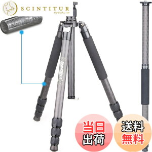 �y���������zINNOREL RT75C �J�[�{�� �O�r 165CM �g���x���O�r �v���� �i�b�g���b�N�� �G���x�[�^�[�� �ω׏d 20KG �l�i�r ��r�ώ� �p�C�v�a29mm ���y�� �^���� �o�R ��O �쒹 �B�e �X�p�C�N �O�r