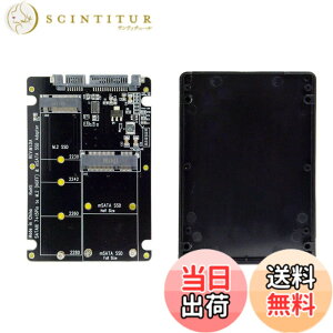 �y���������zNFHK 2�C��1�R���{ M.2 NGFF B-Key & mSATA SSD to SATA 3.0 �A�_�v�^�[�R���o�[�^�[�P�[�X�G���N���[�W��