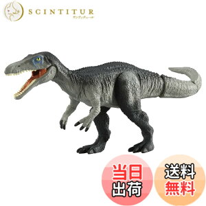 ���i�摜