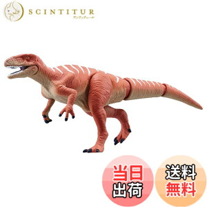 ���i�摜