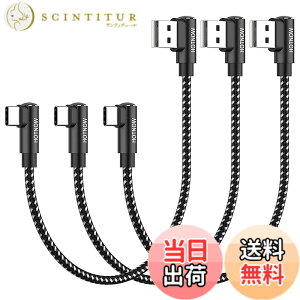 �y���������z�Z�� 0.3m USB C �P�[�u�� ���p�AHOTNOW [3 �{ 30cm] �|�[�^�u�� USB-C �[�d�� �i�C�����ґg�����[�d�R�[�h Galaxy S25 S23 S8 Plus Note 9 8�AiPhone 16 15�A�p���[�o���N����т��̑��� Type-c �f�o�C
