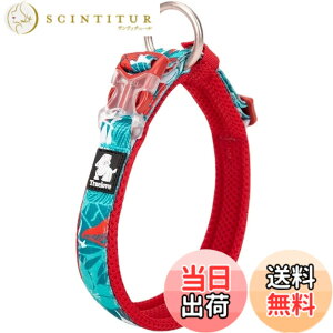 �y���������zcocomall���{�����X ����� ���̎�� �P���p ���^�A���^�A��^���p �y�b�g�p�i �i�C������ �ʋC�� �e�͐� �\�t�g���b�V�� �ȒP���� ������� ���߉\ (XXS, blue&red)