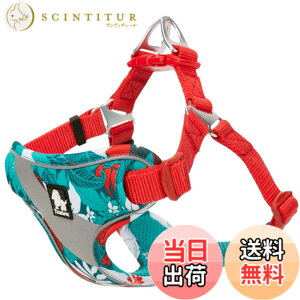 �y���������zcocomall ���S�y�����p�n�[�l�X ���p���� �h�b�O �y�b�g�p�i ���o�����n�[�l�X 3M���ˍޗ� �P�� �i�C������ ���^���A���^���A��^���Ɍ��� �ʋC�� ���߉\ �������(S, blue&red)