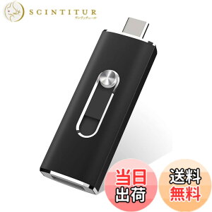 �y���������zUSB������256GB USB 3.1 2in1 Type-C ������ �t���b�V���h���C�u(�u���b�N)