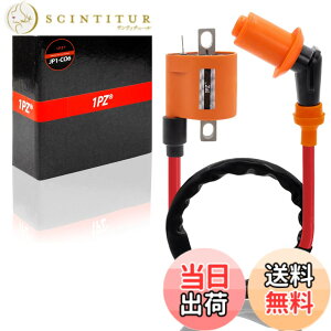 �y���������z1PZ JP1-CO6 �I�����W 595mm �C�O�j�b�V�����R�C�� YBR125 SR500 TW200 TW225 E �Z���[225 W �Z���[250 GY6�G���W�� 50cc 125cc 150cc �ЊO�i �o�C�N �����e�i���X �p�[�c