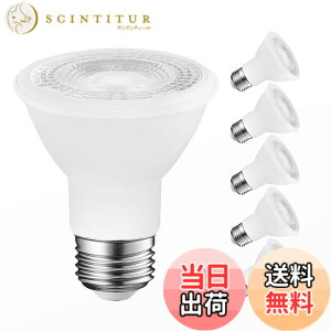 �y���������zLVWIT LED�X�|�b�g���C�g E26���� LED�d�� �r�[���d�� 550LM 6W(�n���Q���d��40W����) PAR20 �d���F 3000K �W���^�C�v35° �z���C�g �ȃG�l �ԐڏƖ� �V��Ɩ� ���ƏƖ� ���֏Ɩ� �L�b�`�� ��