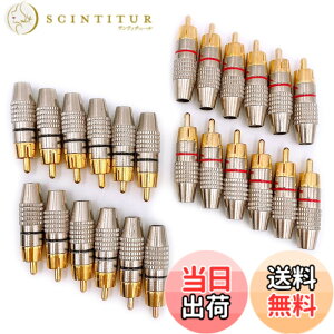 �y���������zMeliore �����b�L RCA �v���O �[�q �͂� ���X �^�C�v �I�X PLUG TYPE �^�C�v B �P�[�u�� ���� �ԍ� ���b�h �u���b�N 24�� �Z�b�g