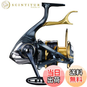 �y���������z�V�}�m(SHIMANO) �X�s�j���O���[�� 21 BB-X �e�N�j�E�� C4000D TYPE-G SR ��