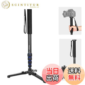�y���������zKoolehaoda ��r �J�����p ������ �y�� 168 cm�A���~��r 5�i�K�L�k ���O���\�ȎO�r�x�[�X�t�����s�p��r ��჌�t&�r�f�I�J�����Ή� �ω׏d7kg