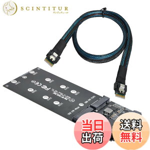 �y���������zNFHK SFF-8654 SLIMLINE SAS NVME PCIe SSD SATA�A�_�v�^�ւ�U2�L�b�gNGFF M�L�[�ւ̃P�[�u��