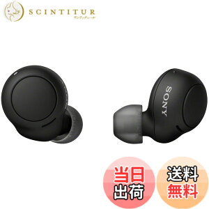 �y���������z�\�j�[(SONY) ���S���C�����X�C���z�� WF-C500 : /�y�ʏ��^5.4g/�����x�ʘb�i��/�ȒP�y�A�����O/IPX4�h�H���\/�u���b�N WF-C500 BZ