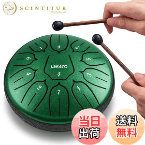 �y���������z�X���b�g�h���� �X�`�[���^���O�h���� LEKATO �����h���� 11�� 6�C���` �Ŋy�� �}���b�g ���[�o�b�O�t�� �ґz ���K �T (�W�F�C�h�O���[��)