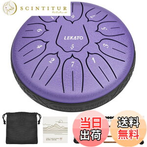 �y���������z�X���b�g�h���� �X�`�[���^���O�h���� LEKATO �����h���� 11�� 6�C���` �Ŋy�� �}���b�g ���[�o�b�O�t�� �ґz ���K �T (�p�[�v��)