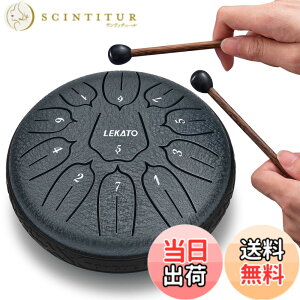 �y���������z�X���b�g�h���� �X�`�[���^���O�h���� LEKATO �����h���� 11�� 6�C���` �Ŋy�� �}���b�g ���[�o�b�O�t�� �ґz ���K �T (�l�C�r�[�u���[)