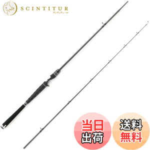 �y���������zAbuGarcia (�A�u�K���V�A) �\���e�B�[�X�e�[�W�v���g�^�C�v �{�[�g�V�[�o�X SaltyStageProtoType BoatSeabass XBSC-642X-BB
