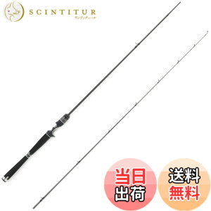 �y���������zAbuGarcia (�A�u�K���V�A) �\���e�B�[�X�e�[�W�v���g�^�C�v �{�[�g�V�[�o�X SaltyStageProtoType BoatSeabass XBSC-682M