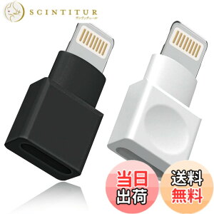�y���������z���C�g�j���O�����P�[�u�� �A�_�v�^�[ 2�_�p�b�N Apple(�A�b�v��) MFI�F�� iPhone�[�d�� �����P�[�u�� �I�X�^-���X�^ �h�b�N �G�N�X�e���_�[ iPhone 13 12 11 X XS XR 8 7 6 5 iPad�Ή� �I�[�f