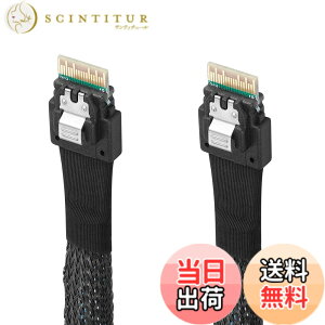 �y���������zTwozoh SAS SFF-8654 to SFF-8654�P�[�u�� SAS SFF-8654�P�[�u�� 38�s���T�[�o�[HDD�f�[�^�]���P�[�u�� �T�[�o�[/�f�[�^�X�g���[�W/���[�N�X�e�[�V�����p 1M �K�i���������s��