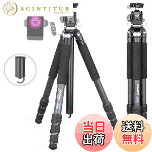 �y���������zINNOREL �J�����p �J�[�{�� �O�r N36���R�_�� �L�b�g�Z���^�[�|�[���t�� 20KG�ω׏d 10-168CM���� 28/25/22/19CM�p�C�v�a �g���x�� �^���� �iGT284C+N36)�j