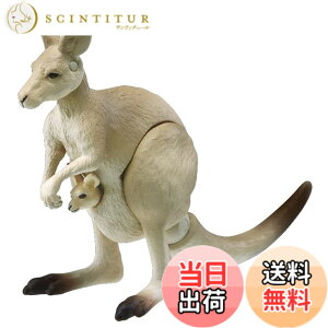 ���i�摜