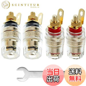 �y���������zXiatiaosann 4�� 4mm�̃o�i�i�v���O�̃\�P�b�g�̌����̃|�X�g��Arduino�̂��߂̃X�s�[�J�[���[�̃A���v�̃R�l�N�^�[�W���b�N�A1 �̃����`��