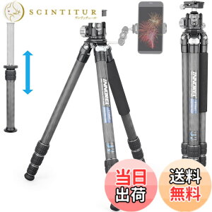 �y���������zINNOREL �J���� �O�r �J�[�{�� ��჌�t�O�r N36 ���R�_��t�� 20KG�ő�ω׏d 4�i�L�k 16-173CM��ƍ��� 29/25.6/22.2/18.8MM�p�C�v�a 360° �r�f�I�J���� �f�W�J�� DSLR DV�ʗp�R���p�N�g �O�r 