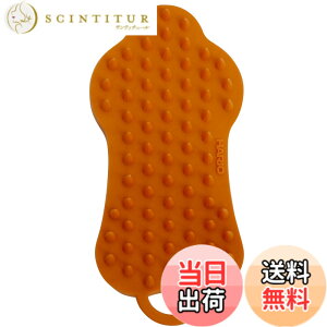 �y���������z�n���I (HARIO) �����ю�� ���p �L�p �u���V �u���b�V���O �}�b�T�[�W �����ю��|�� ���􂢉\ �y�b�g�̃u���V �O���b�e �\�t�g �I�����W