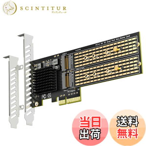 �y���������zGLOTRENDS PA20 2����M.2 PCIe �ϊ��A�_�v�^, PCIe 3.0 x4 �C���^�[�t�F�[�X, PCIe ����@�\�ɑΉ�, M.2 NVMe �\�t�g RAID �ɑΉ�