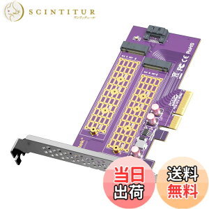 �y���������z10Gtek 2�|�[�g M.2 NVMe �A�_�v�^�[ M-Key��B-Key, PCIe X4 Gen3. �g���J�[�h, ���݃C���^�[�t�F�[�X�{�[�h, �t���n�C�g/���[�v���t�@�C���u���P�b�g�t��