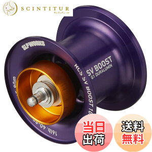 �y���������z�_�C��slp���[�N�X(Daiwa Slp Works) RCSB SV BOOST 1000 G1 �p�[�v��