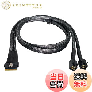 �y���������zNFHK PCI-E �E���g���|�[�g �X�������C�� SAS �X���� 4.0 SFF-8654 8i 74�s�����f���A�� SFF-8643 4i Mini SAS HD�P�[�u�� PCI-Express