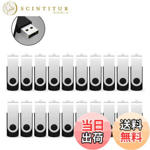 �y���������zRAOYI USB������ 32GB USB 2.0 20�Z�b�g �t���b�V���h���C�u ��]�� �܂Ƃߔ��� �Ɩ��p �������X�e�B�b�N �≮ �X�g���b�v�z�[���t�� �i���j