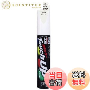 �y���������zSOFT99 (�\�t�g99) �z���_�yNH883P�z�v���`�i�z���C�gP ��C�y�C���g �^�b�`�A�b�v�y�� 99�H�[ H7720 12ml �����ԓh�� 17720