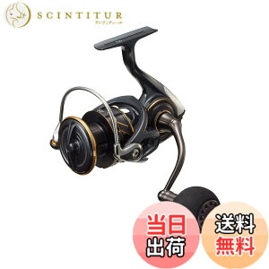 �y���������z�_�C��(DAIWA) �X�s�j���O���[�� 22 �J���f�B�ASW 4000D-CXH(2022���f��)