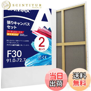 �y���������zAUREUO �ȉ��@���a ����L�����o�X F30 (91.0cmX72.7cm) 2�� - ���ڕz ���ʉ�E���G��E�A�N�������p - ���_���A�[�g�E�|�b�v�A�[�g�ɍœK