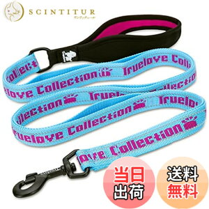 �y���������zcocomall �Z�ӏ������n���h�����p���[�h ���^�A���^�A��^���p �P���p �����O���[�h �y�b�g�p�i 3M���ˍޗ� �i�C������ �ʋC�� ���߉\ ���b�V���y�b�g (�u���[���s���N,L)