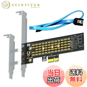 �y���������zGLOTRENDS PA09-SA M.2 SATA - SATA III PCIe�ϊ��A�_�v�^�[�J�[�h�AM.2 SATA SSD�̂��߂�