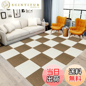 �y���������z�W���C���g�}�b�g �唻 �J�[�y�b�g�E���O�y30*30cm 30���i��1.7��j�zHriiiiya �� �J�[�y�b�g�W���C���g �}�b�g �J�[�y�b�g �t���[�����O���J�[�y�b�g�^�C���}�b�g�z�� �^�C�� �J�[