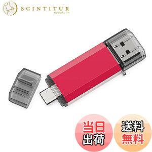 �y���������zRAOYI TypeC USB������ 128GB USB3.0 �^�C�vC�t���b�V���h���C�u 2in1 �����f���A���t���b�V���f�B�X�N�iTypeC+USB3.0�jOTG �L���b�v�� (��)