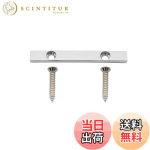 �y���������zMusiclily Pro 45mm �u���X �x�[�X�X�g�����O���e�C�i�[ �e���V�����o�[5���G���L�x�[�X�p�A�N���[��