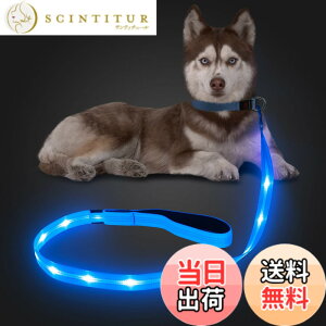 �y���������zCandofly ���ˌ^ LED ���p���[�h - �ÈłŌ��錢 ���C�g USB �[�d���Ɩ��t�����p���[�v�A4 �t�B�[�g�̑ϋv���̂���ϐ����_�Ō����[�h�A�y�b�g�̌��̖�̎U���p (��)