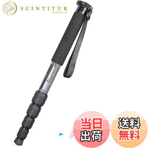 �y���������zINNOREL ��r �J�����p �J�[�{���� 22lbs/10kg�ω׏d 5�Z�N�V�����L�k�\ �R���p�N�g �֗� �y�� ���s�p�iRM285C�j