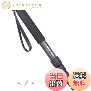 �y���������zINNOREL ��r �J�����p �J�[�{���� 26lb/12kg�ω׏d 5�Z�N�V�����L�k�\ �R���p�N�g �֗� �y�� ���s�p�iRM325C�j