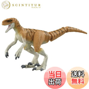 ���i�摜