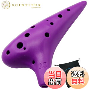 �y���������zAestivate Plastic Ocarina �I�J���i �y�� 12�� �A���gC�� �v���X�`�b�N AC Ocarina ���t�� ����(�p�[�v��)